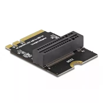 Adapter M.2 key A+E male to key M slot kampuotas with holder DeLOCK 64137