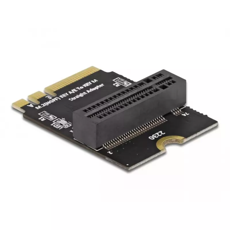Adapter M.2 key A+E male to key M slot kampuotas with holder DeLOCK 64137
