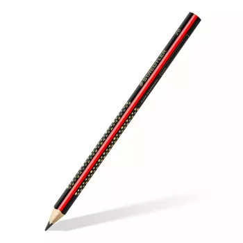 Pieštukas Staedtler Jumbo 2B šešiakampis, šerdies skersmuo 3 mm, įvairiaspalvis, 1 vnt.
