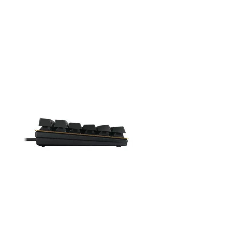 Klaviatūra CHERRY KC 200 MX universali USB QWERTY juoda bronzinė mechaninė