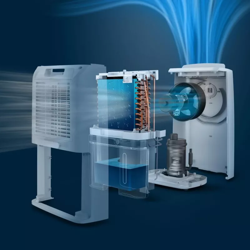 Philips 3000 series DE3306/11 oro sausintuvas 4 L 51 dB Balta, Šviesiai pilka