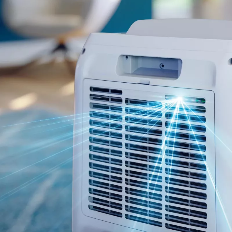 Philips 3000 series DE3306/11 oro sausintuvas 4 L 51 dB Balta, Šviesiai pilka