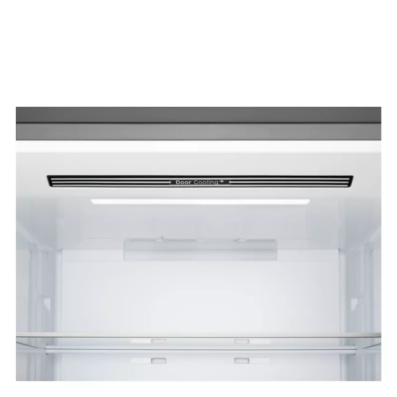 LG GBBW322DPY Laisvai pastatomas 465 L Sidabrinis