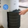 Oro valytuvo filtras Philips FY3437/00, plotis 248 mm, gylis 34,6 mm, aukštis 300,5 mm