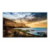 Monitorius Samsung QE55T 55 colių LED 4K Ultra HD