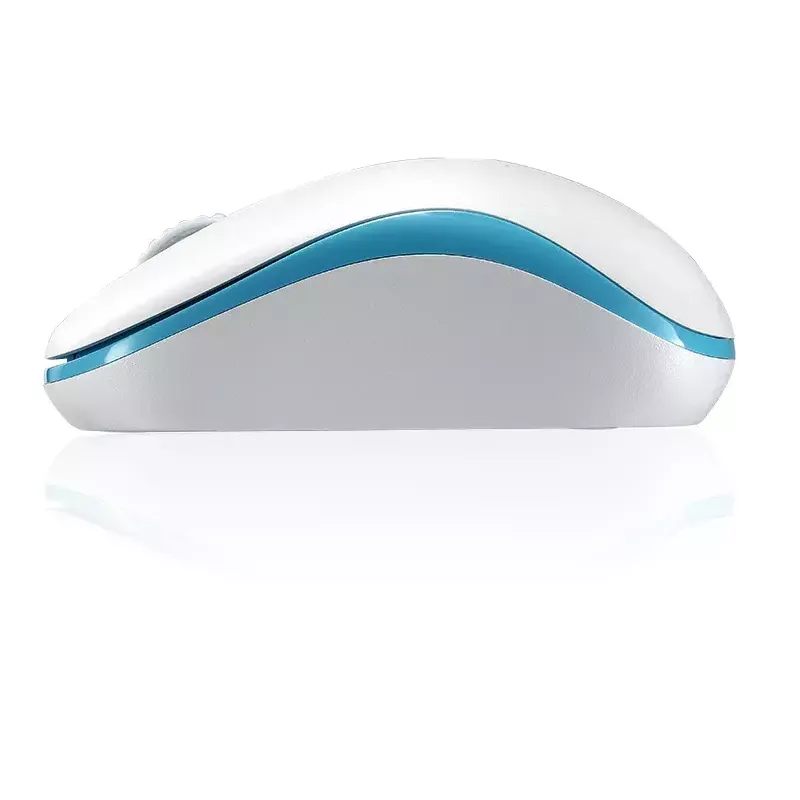 Pelė Rapoo M10 Plus RF belaidė optinė 1000 DPI