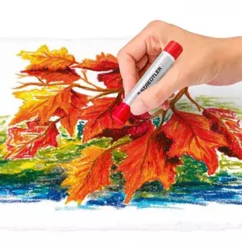 Aliejinės pastelės Staedtler 2420 Daugiaspalvės 24 vnt.