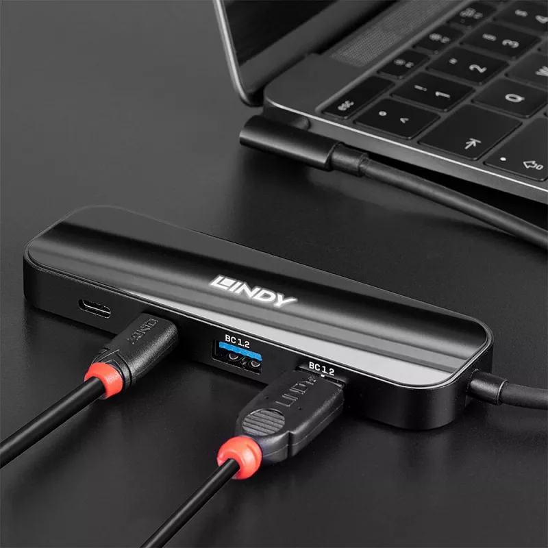 Lindy 4 prievadų USB 3.2 Gen 2 šakotuvas
