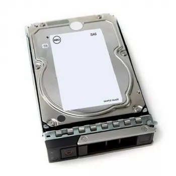 DELL 161-BCJX vidinis kietasis diskas 12 TB 7200 RPM 3,5 col. NL-SAS