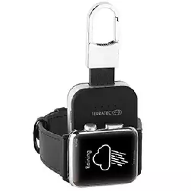 Nešiojamasis įkroviklis Terratec Charge AIR Key, 950 mAh