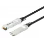 Intellinet 1 m 40G QSFP+ pasyvus tiesioginio prijungimo varinis Twinax kabelis 30AWG MSA QSFP-H40G-CU1M suderinamas