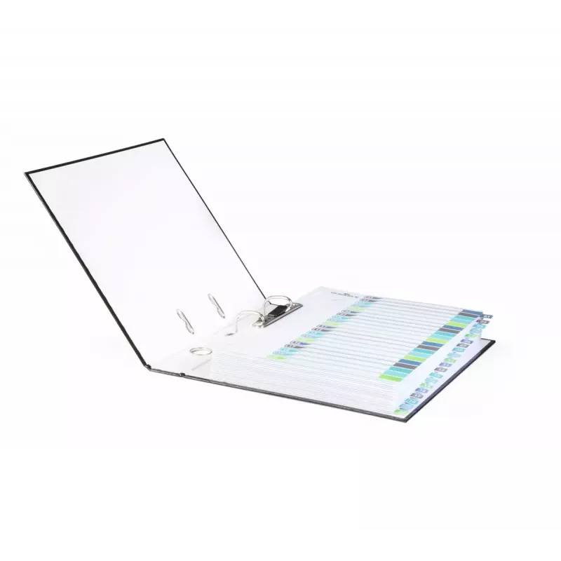 Tuščio skirtuko rodyklė Durable 679727 Įvairiaspalvis Polipropilenas 245x305 mm