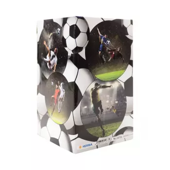 Rašiklių/pieštukų laikiklis HERMA Stifteköcher Fussball 19732
