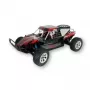 Buggy Amewi Breaker radijo bangomis valdomas RC modelis 1:10