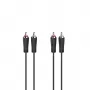 Hama 00205093 garso kabelis 5 m 2 x RCA Juoda