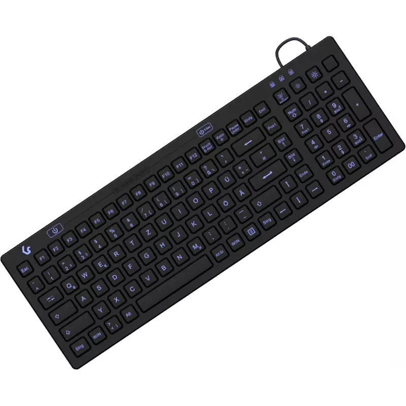 KeySonic KSK-6031INEL-B (DE) klaviatūra, pramoninė, USB, QWERTZ, vokiška, juoda