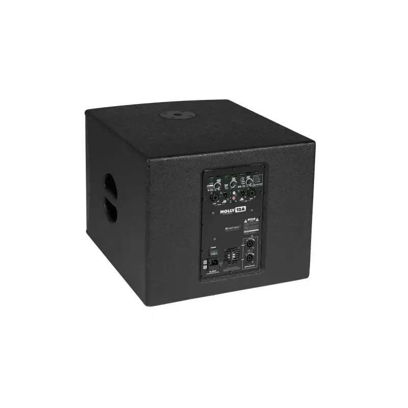Aktyvus žemų dažnių garsiakalbis Omnitronic 11039050 Juodas 500 W