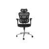 Ergonominė biuro kėdė EQUIP 651053 su galvos atrama ir porankiais, tinklinė atlošas, paminkštinta sėdynė, reguliuojamas aukštis 117–135 cm, plotis 660 mm, juoda
