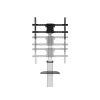 Equip 37-86 colių pasukamas TV stovas 50 kg talpos reguliuojamo aukščio