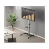 Equip 37-86 colių pasukamas TV stovas 50 kg talpos reguliuojamo aukščio