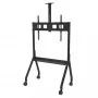 Peerless Paramount 190,5 cm (75 colių) grindinis, juodas