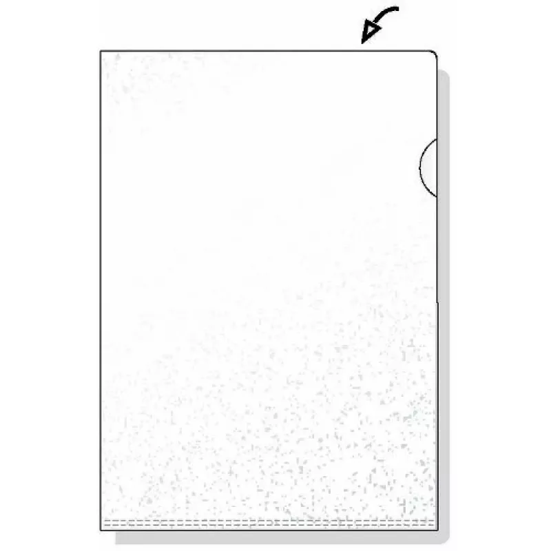 Rexel embossed A4 L aplankas, skaidrus (100), A4, polipropilenas (PP), skaidrus, 100 vnt., 221 mm, 311 mm