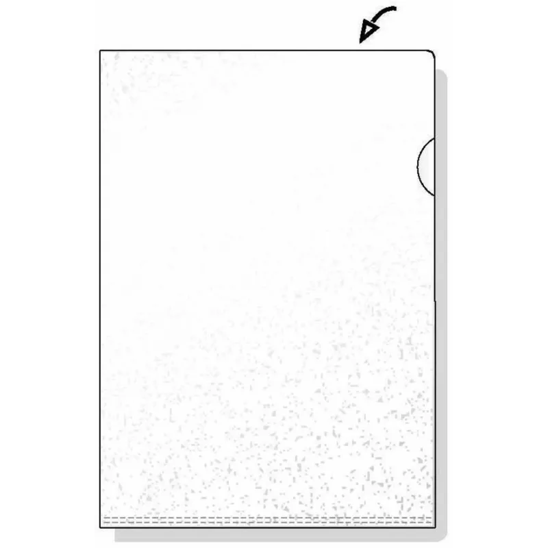 Rexel embossed A4 L aplankas, skaidrus (100), A4, polipropilenas (PP), skaidrus, 100 vnt., 221 mm, 311 mm