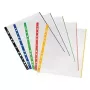 A4 dokumentų įdėklas Herlitz 10914422