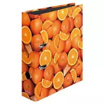 Žiedinis segtuvas A4 Herlitz 10626190 Įvairiaspalvis