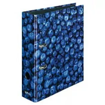 Žiedinis segtuvas Herlitz 11080660 A4 Įvairiaspalvis