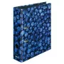 Žiedinis segtuvas Herlitz 11080660 A4 Įvairiaspalvis