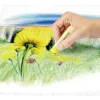 Spalvoti pieštukai Staedtler 2430 36 vnt.