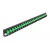 Splice Box priekinis skydelis DeLOCK 19 colių 24 prievadų SC Simplex žalias