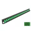 Splice Box priekinis skydelis DeLOCK 19 colių 24 prievadų SC Simplex žalias