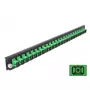Splice Box priekinis skydelis DeLOCK 19 colių 24 prievadų SC Simplex žalias