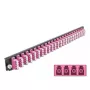 Splice Box priekinis skydelis DeLOCK 19 colių 24 prievadų LC Quad violetinis
