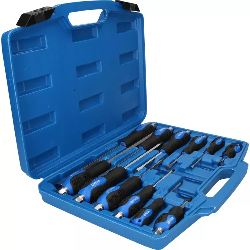 Rankinis atsuktuvų rinkinys Brilliant Tools BT034012