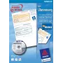 Verslo forma Avery 2817