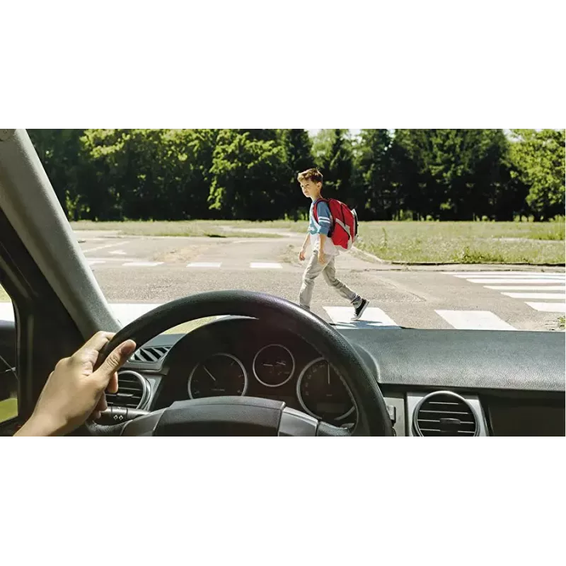 Akiniai nuo saulės WEDO 271 48599 Ovalūs apgaubiantys, unisex, poliarizuojantys lęšiai, ant akinių