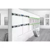 Linijinis gulsčiukas Laserliner DigiLevel Laser G80