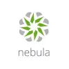 Zyxel LIC-NPRO-ZZ1Y00F programinės įrangos licencija/atnaujinimas 1 licencija (-os) 1 metai (-ų)