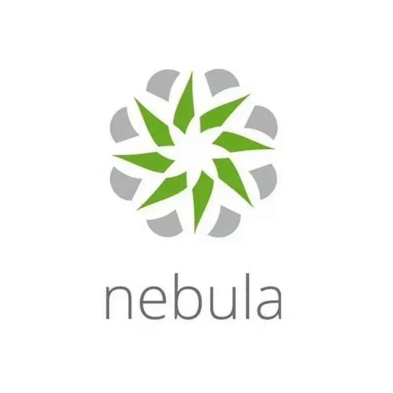 Zyxel LIC-NPRO-ZZ1Y00F programinės įrangos licencija/atnaujinimas 1 licencija (-os) 1 metai (-ų)