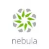 Zyxel LIC-NPRO-ZZ2Y00F programinės įrangos licencija/atnaujinimas 1 licencija (-os) 2 metai (-ų)