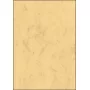 Art Paper Sigel DP262 100 lapų smėlio spalvos 90 g/m²
