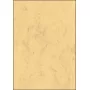 Art Paper Sheets Sigel DP553 50 lapų Smėlio spalvos 200 g/m²