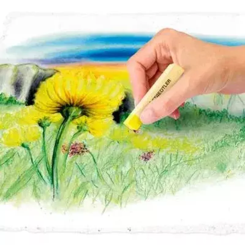 Sausos pastelės minkštos Staedtler 2430 Įvairiaspalvės 24 vnt.