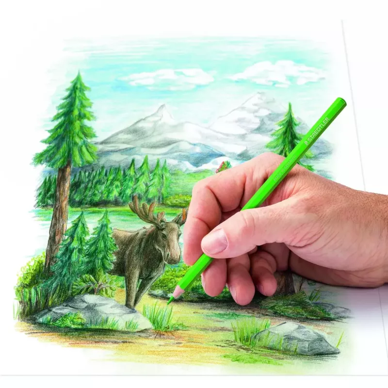 Spalvoti pieštukai Staedtler 146C Daugiaspalviai 24 vnt.