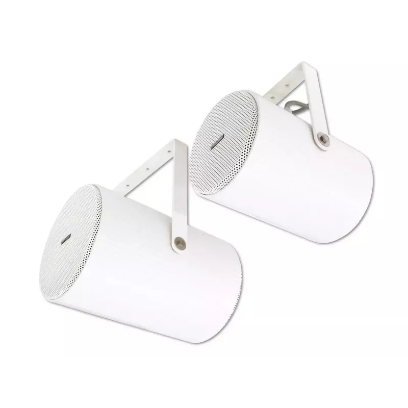 Garsiakalbis Omnitronic PS-30 baltas laidinis 20 W