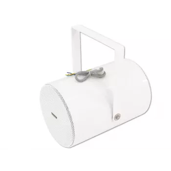 Garsiakalbis Omnitronic PS-30 baltas laidinis 20 W