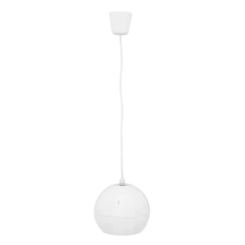 Plačiajuostis garsiakalbis Omnitronic 80710435 10 W Baltas